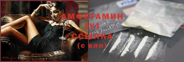 гашик Алзамай