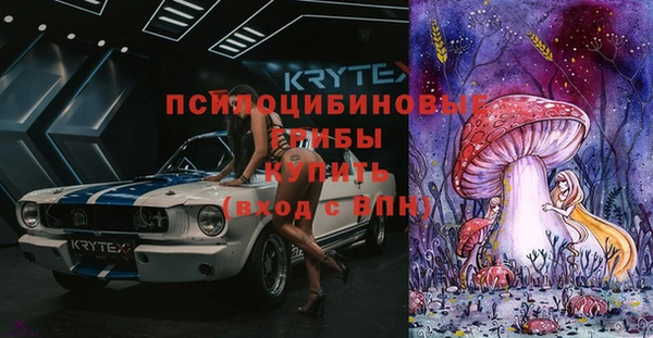 гашик Алзамай