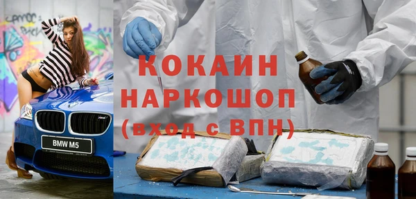 гашик Михайлов
