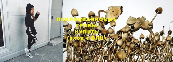 гашик Алзамай