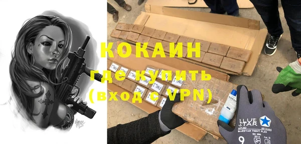 гашик Алзамай