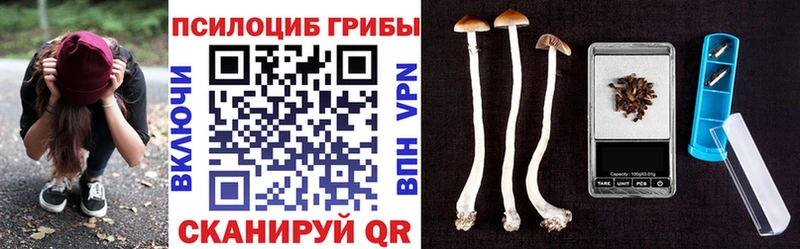 Галлюциногенные грибы Psilocybine cubensis наркота Нефтекамск