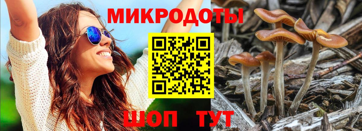 Псилоцибиновые грибы мицелий Нефтекамск