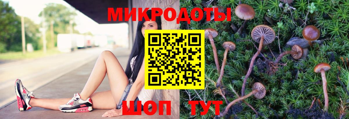 Галлюциногенные грибы GOLDEN TEACHER  где купить наркотик  Нефтекамск  Вход с VPN 