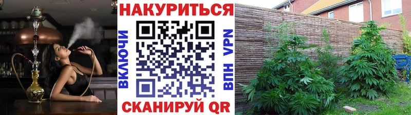 Бошки марихуана индика  blacksprut как войти  Нефтекамск  даркнет сайт 